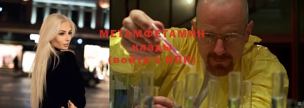 ПСИЛОЦИБИНОВЫЕ ГРИБЫ Няндома