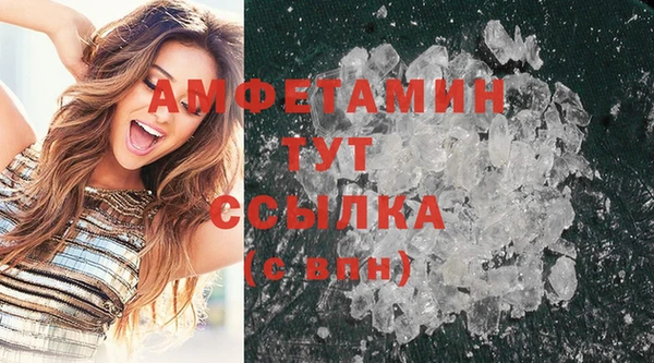 ПСИЛОЦИБИНОВЫЕ ГРИБЫ Няндома