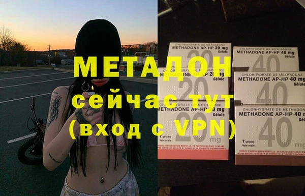 ПСИЛОЦИБИНОВЫЕ ГРИБЫ Няндома